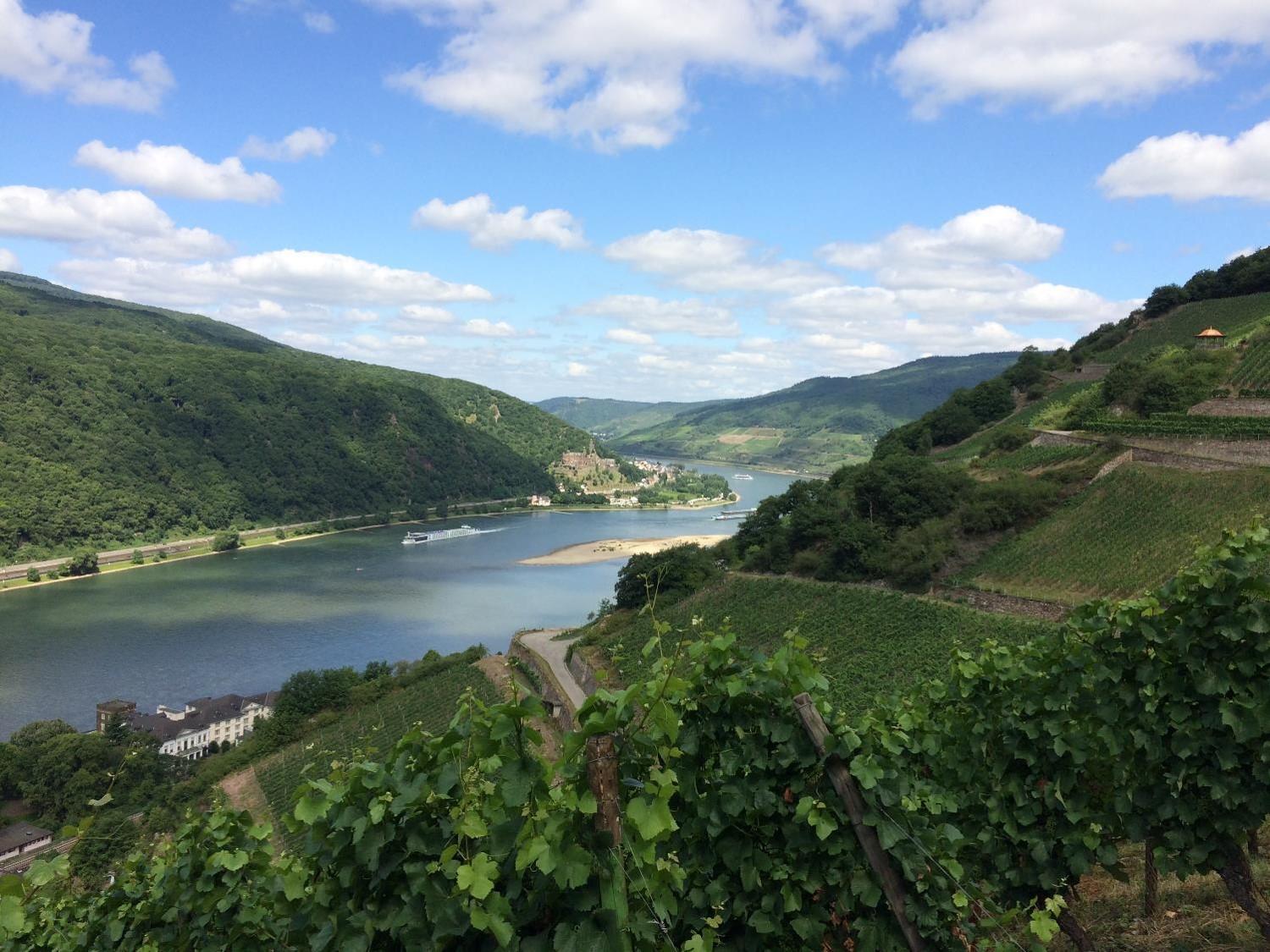 Hotel Winzerhof Ross & Rose Trechtingshausen Esterno foto