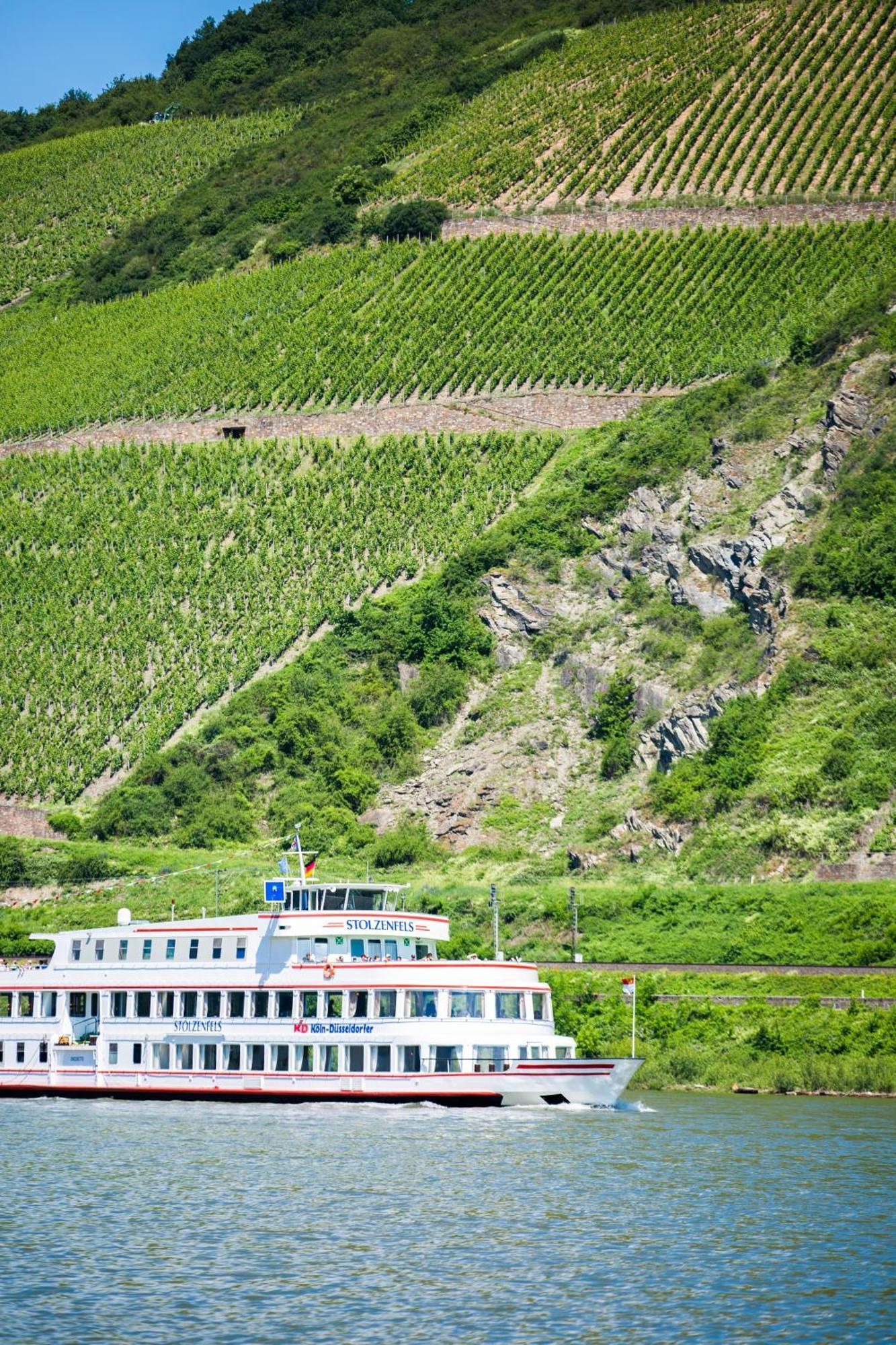 Hotel Winzerhof Ross & Rose Trechtingshausen Esterno foto